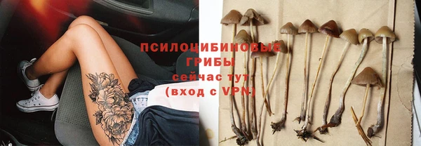 гидропоника Абаза