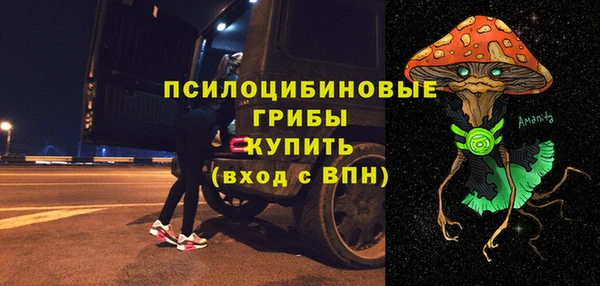 гидропоника Абаза