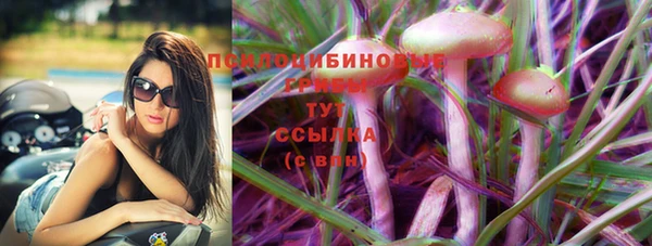 соль ск Абинск