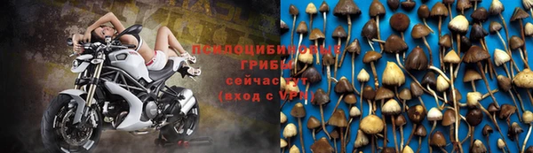 Альфа ПВП Ельня